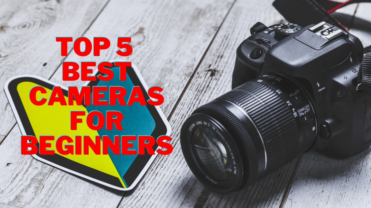 Top 5 BEST Cameras For Beginners 2024